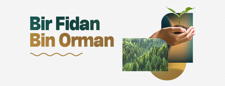 Bir Fidan Bin Orman - Türkiye