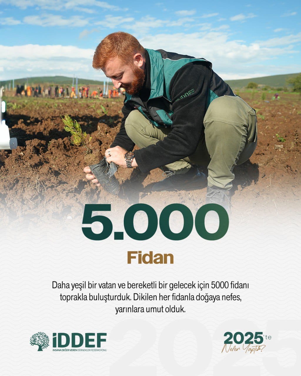 iddef fidan