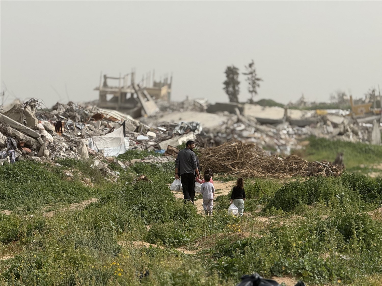 iddef gaza meat hot meal qurbani 2025 (7)